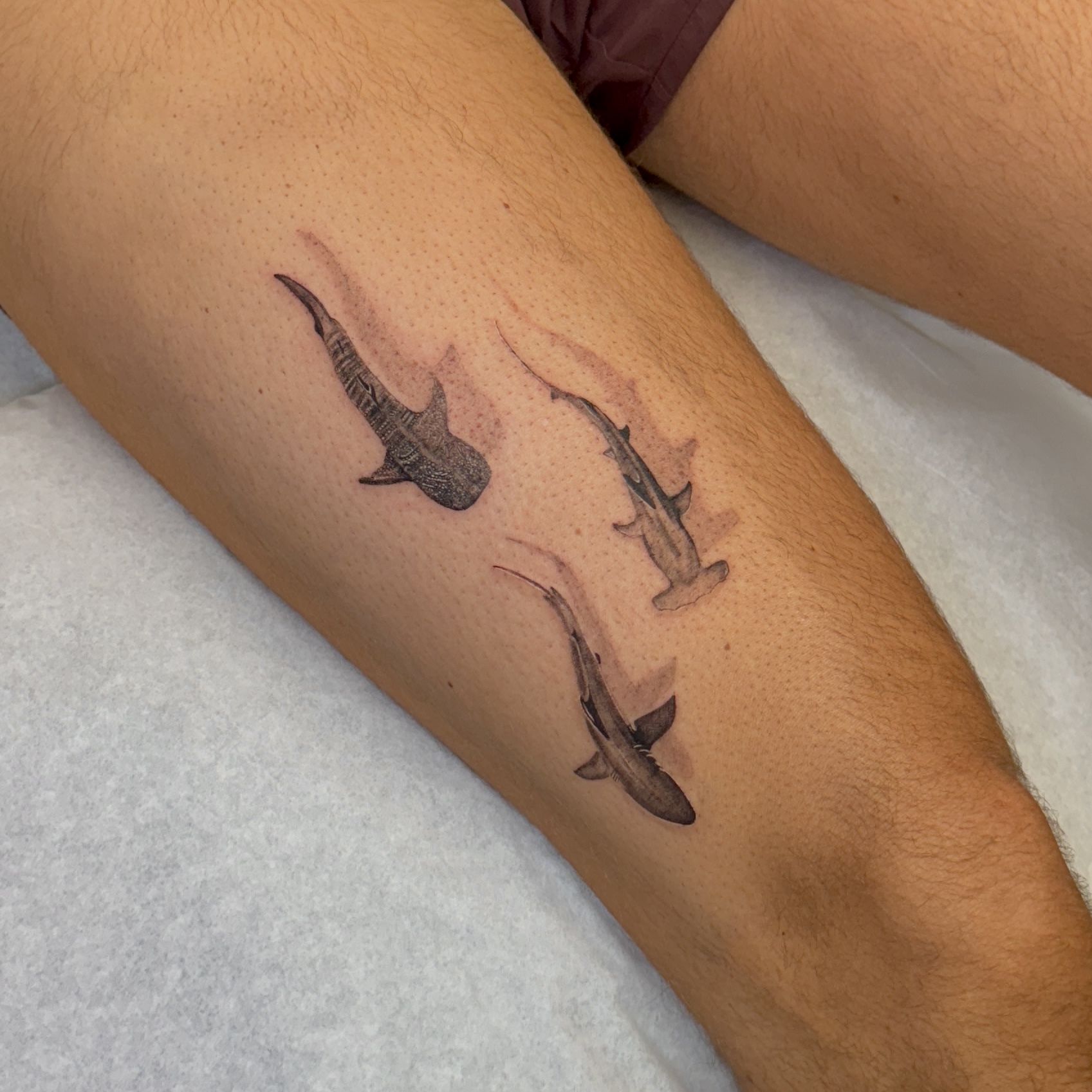 Marine Life tattoo style