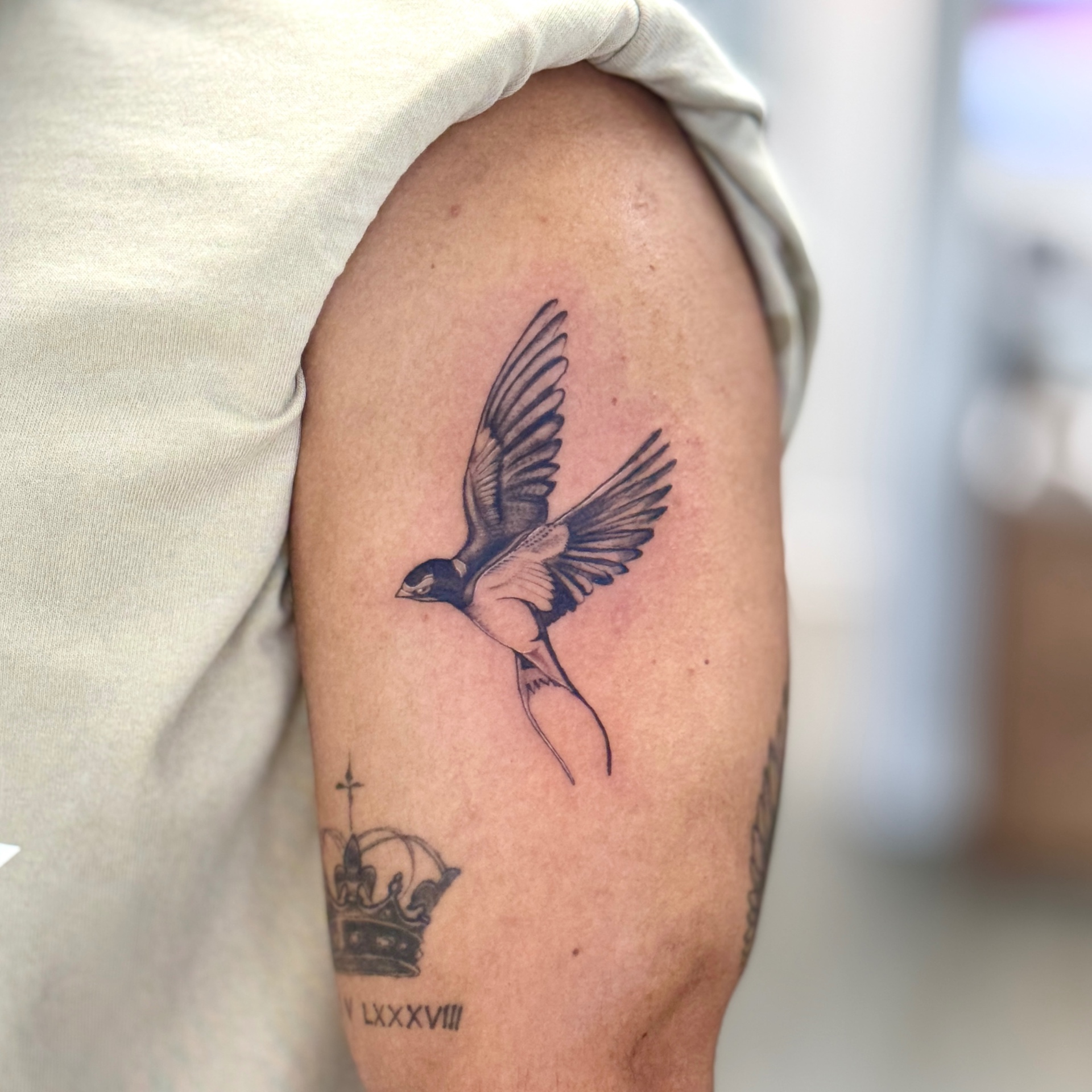 Birds tattoo style