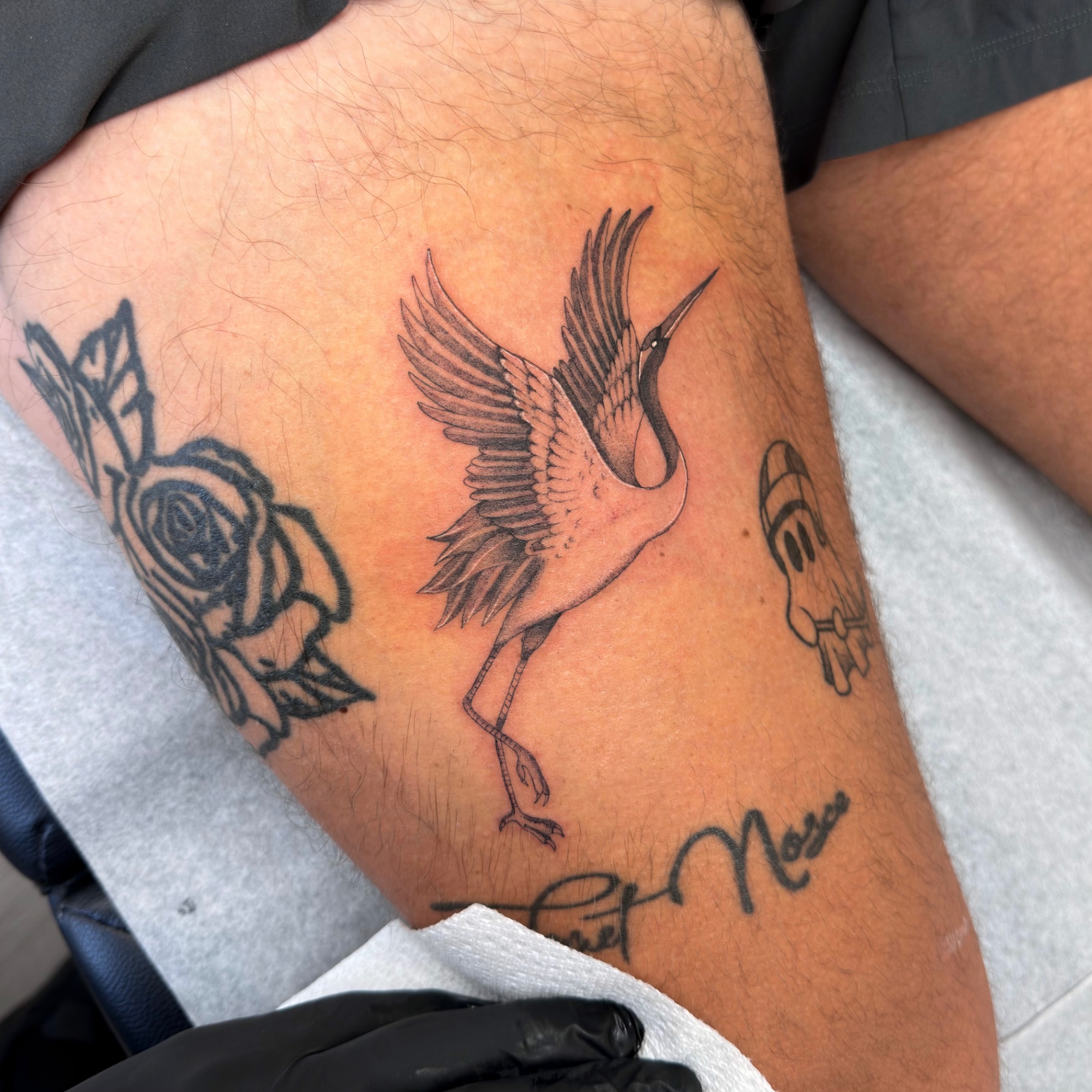 Fine line crane tattoo on leg